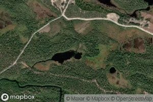 Kalliopuro