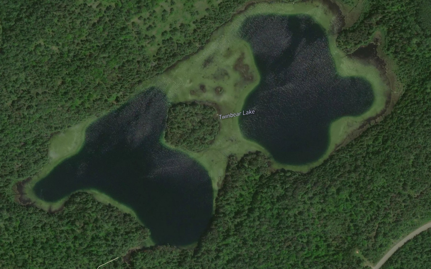 Satellite map of the Twinbear Lake