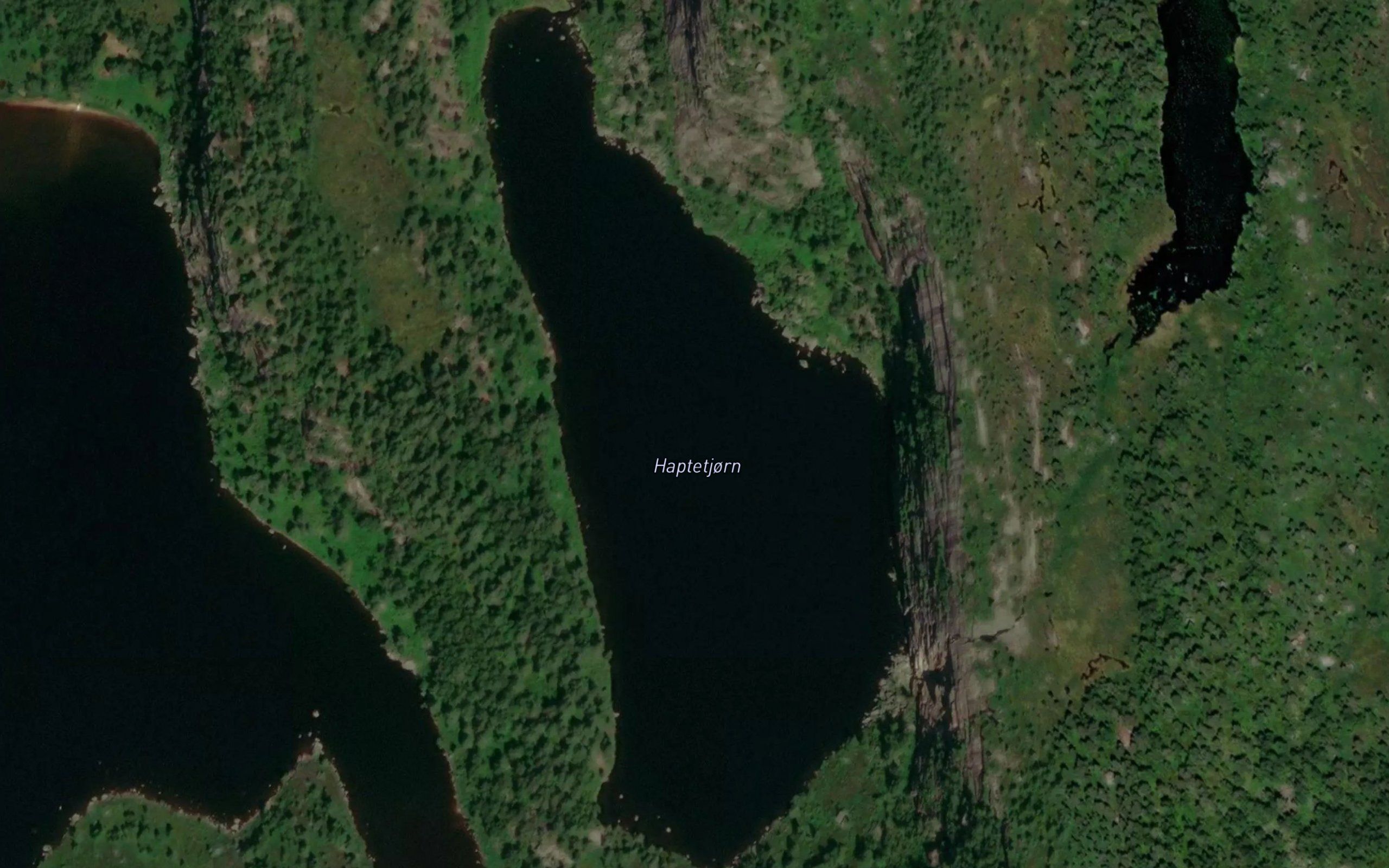 Haptetjorn