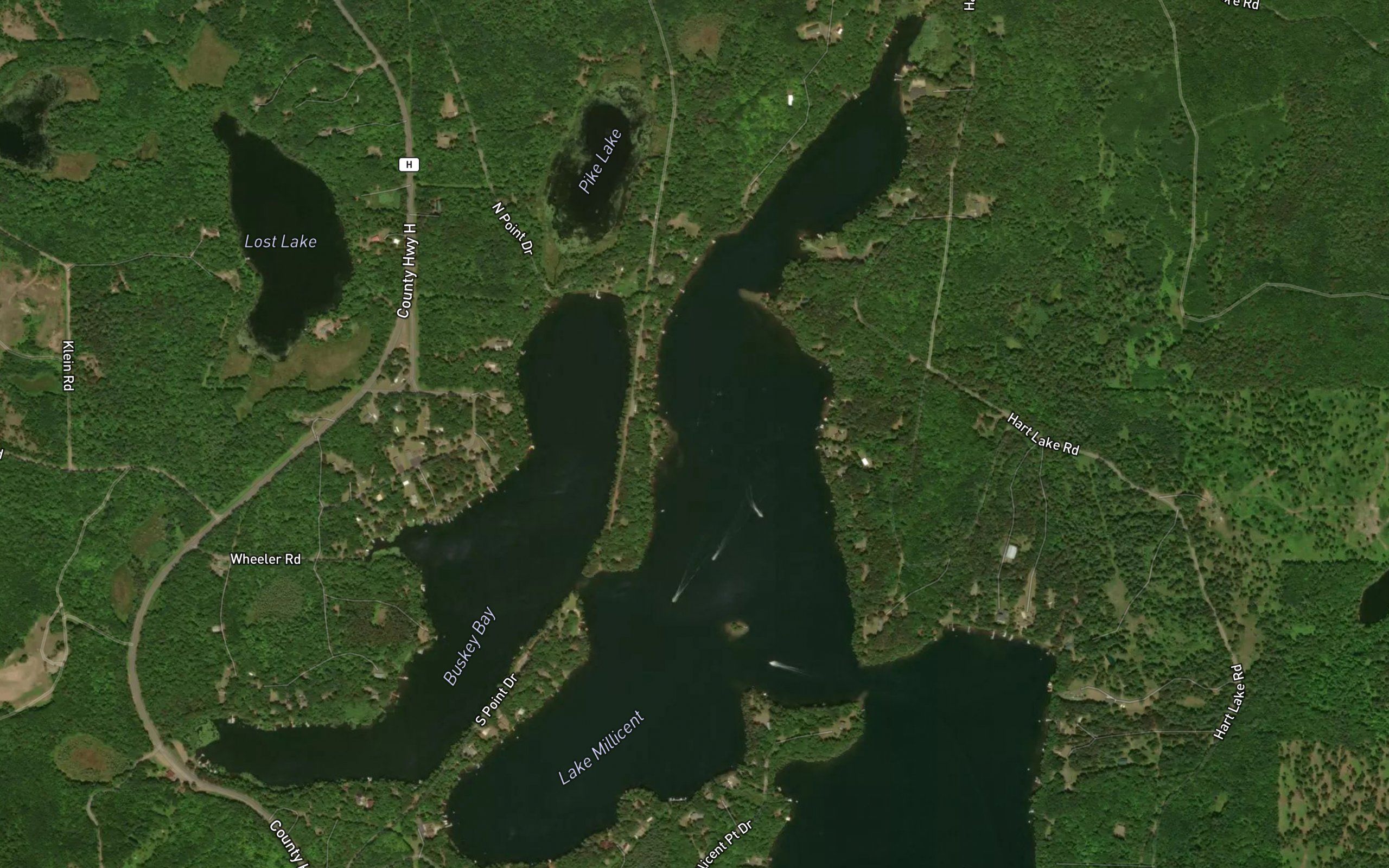 Lake Millicent