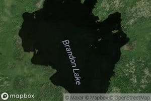 Brandon Lake