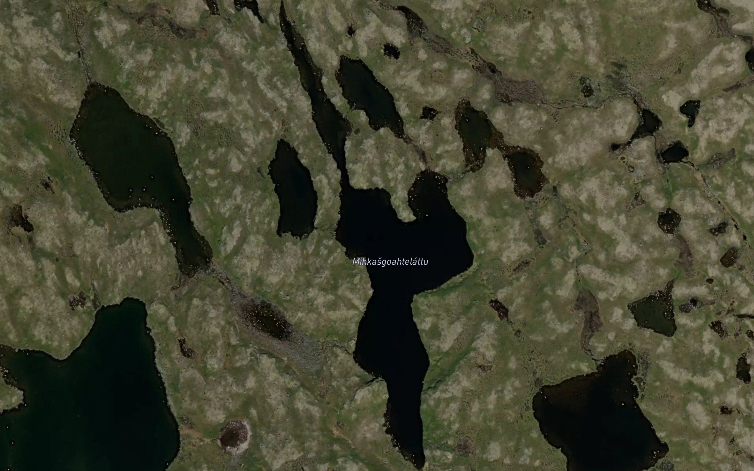 Mikkasgoatteladdo