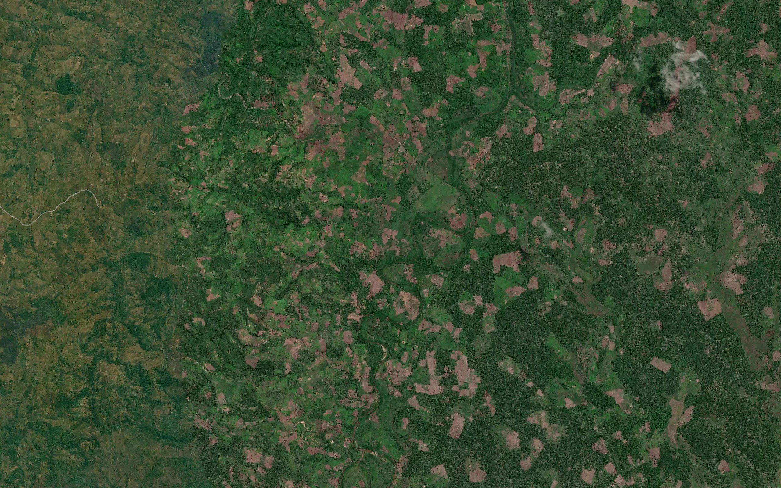 Muchamba