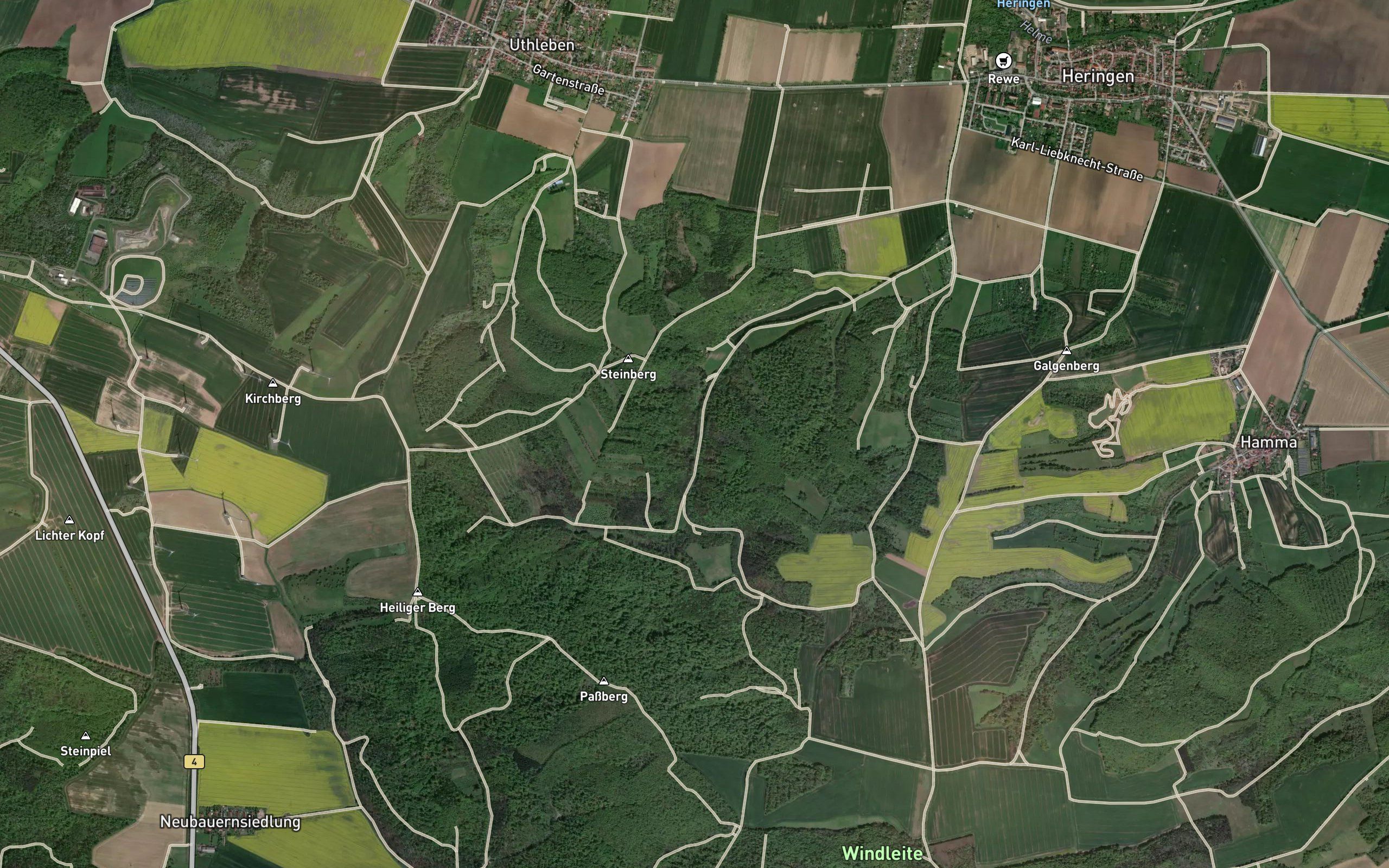 Goldborntal