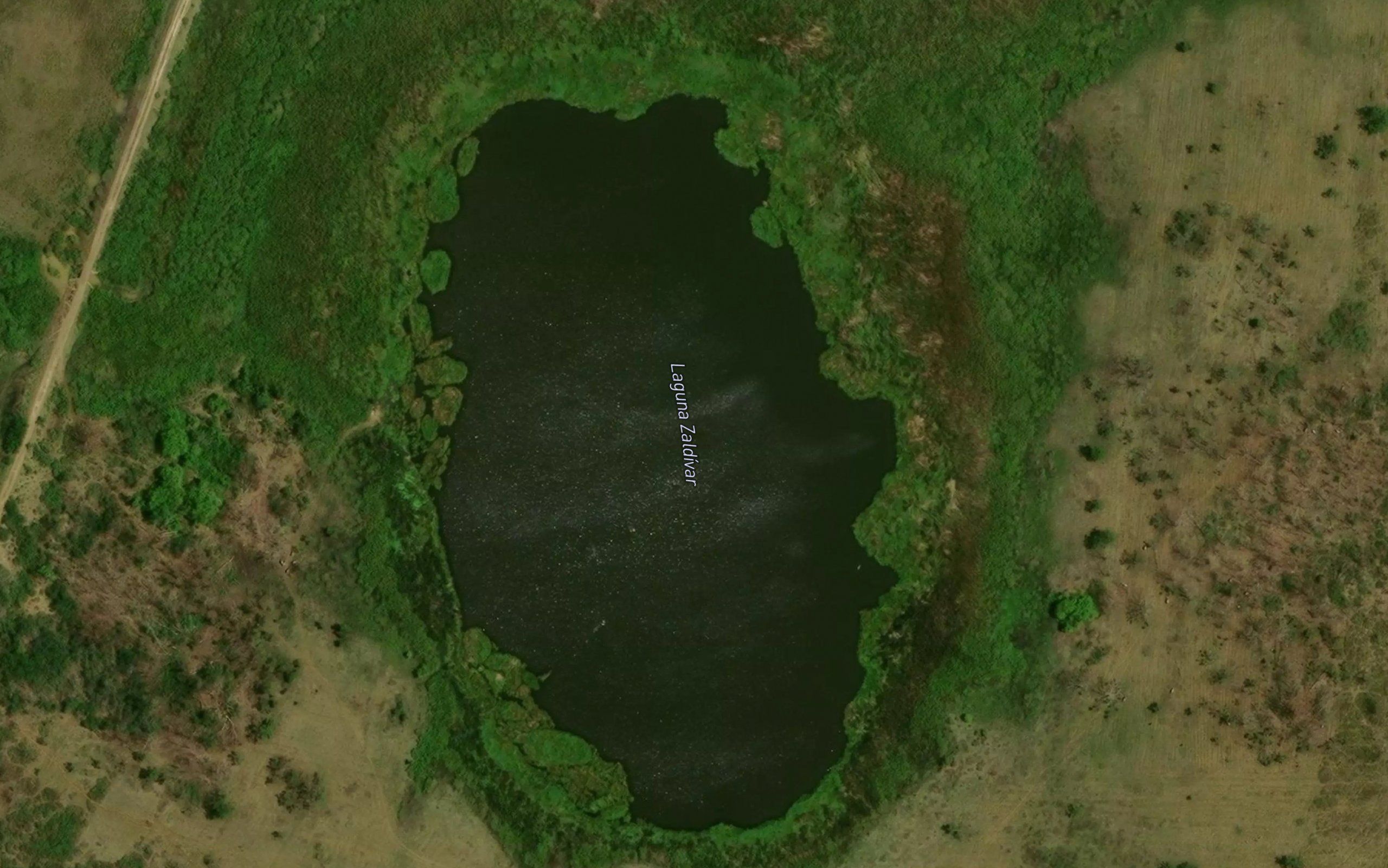 Laguna Zaldivar