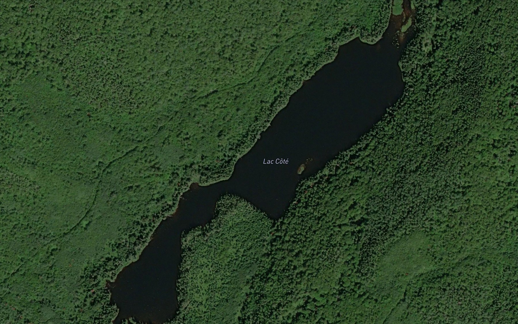 Satellite map of the Lac Cote