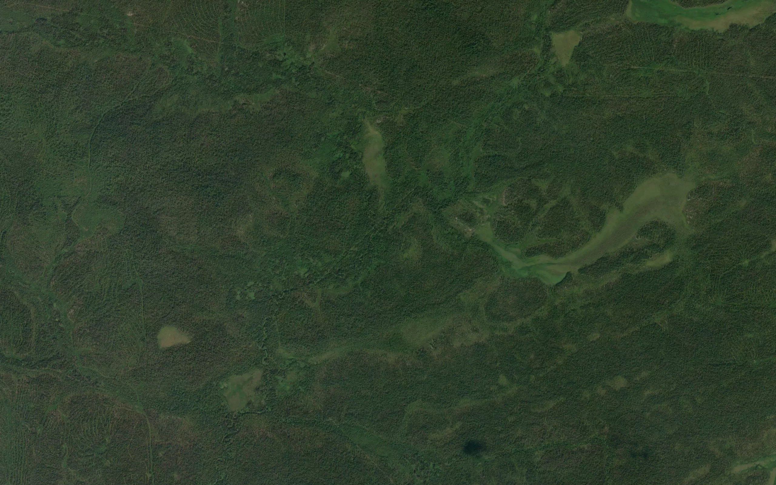 Kartyngsoim
