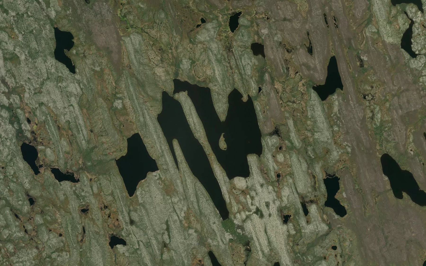 Satellite map of the Vinie Lake