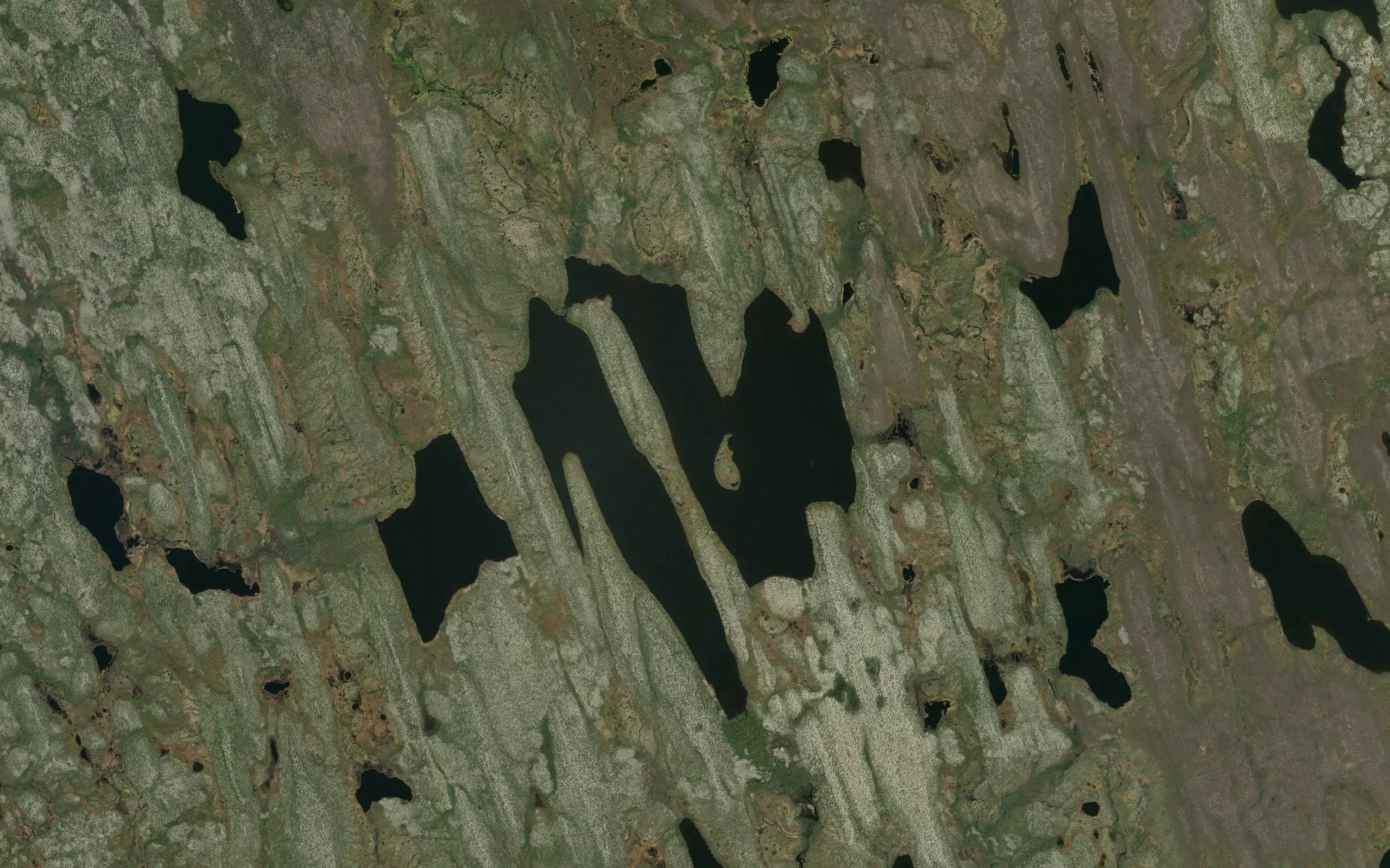 Vinie Lake