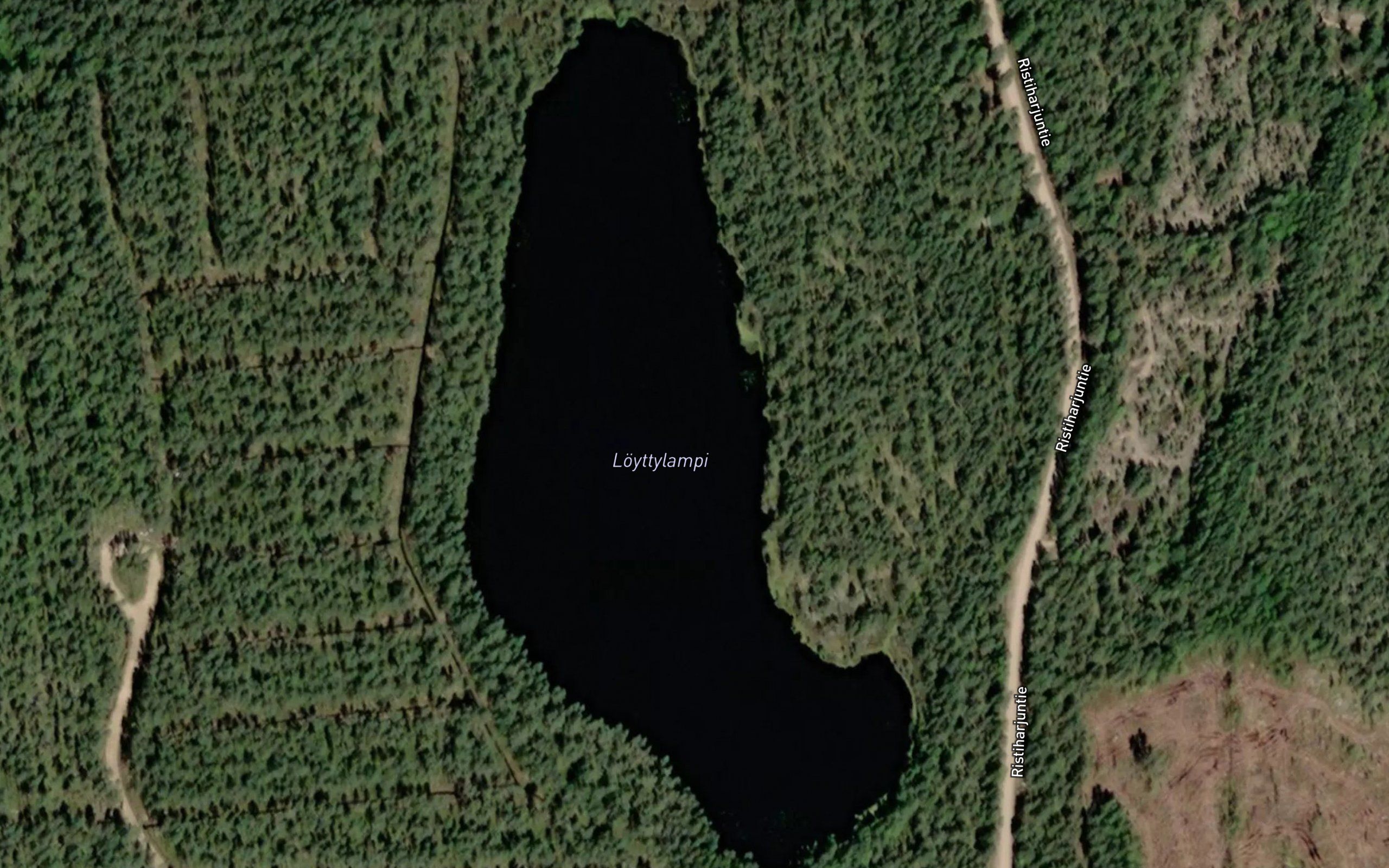 Loyttylampi