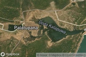 Palatupanagoda Kalapuwa