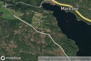 Kattetjorna