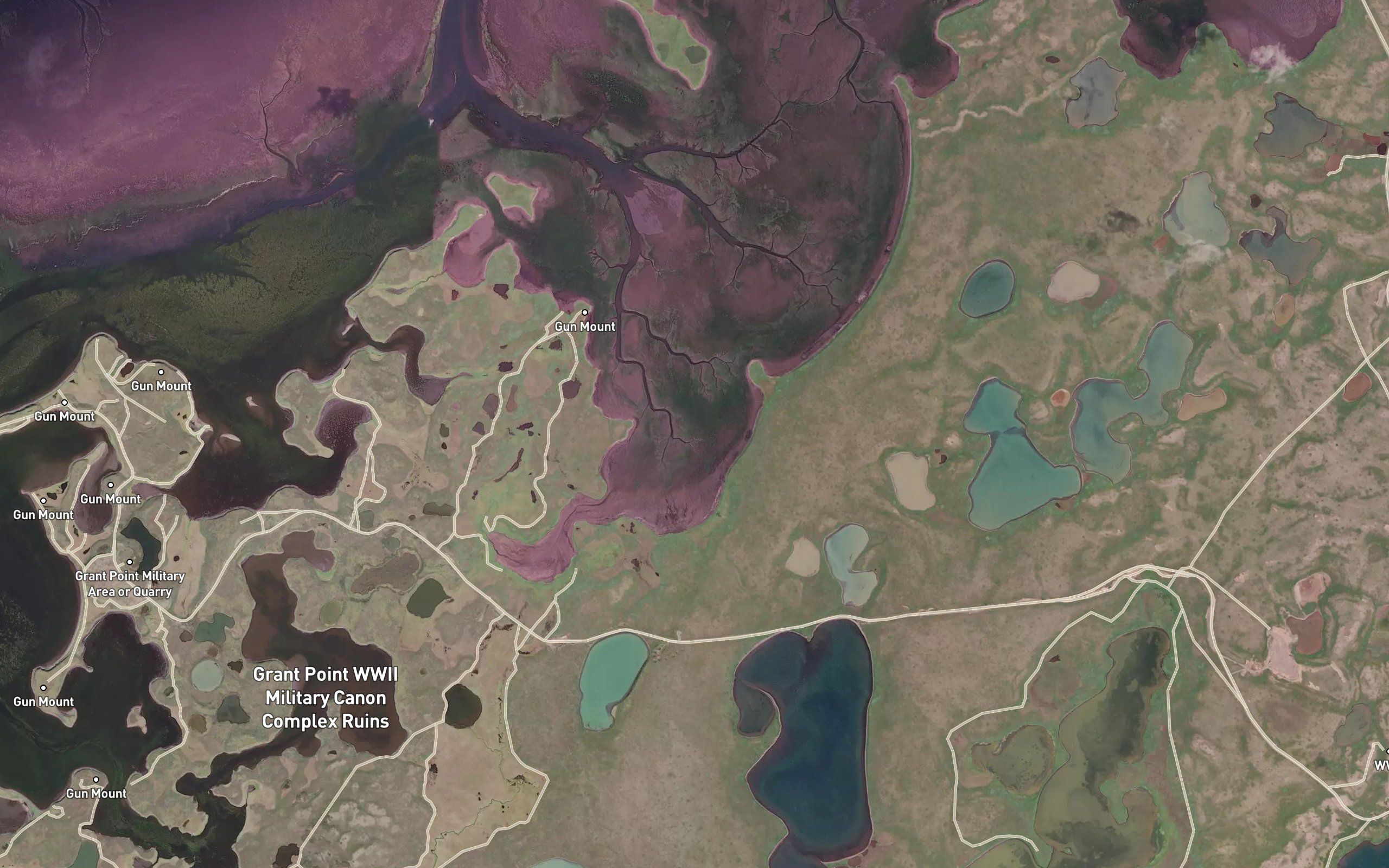 Izembek Slough