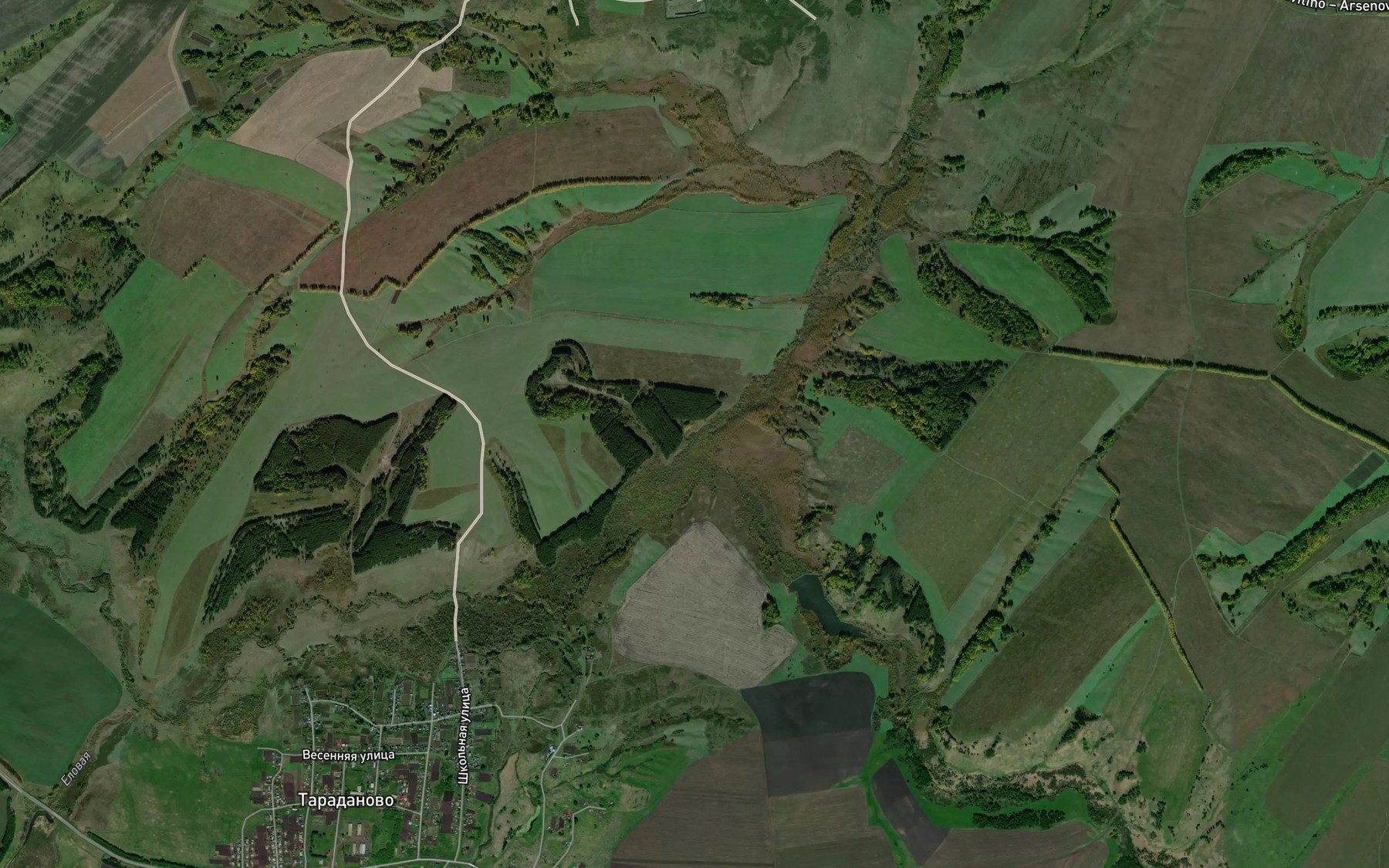 Satellite map of the Kamenka