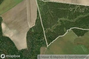 Middle Mustang Creek