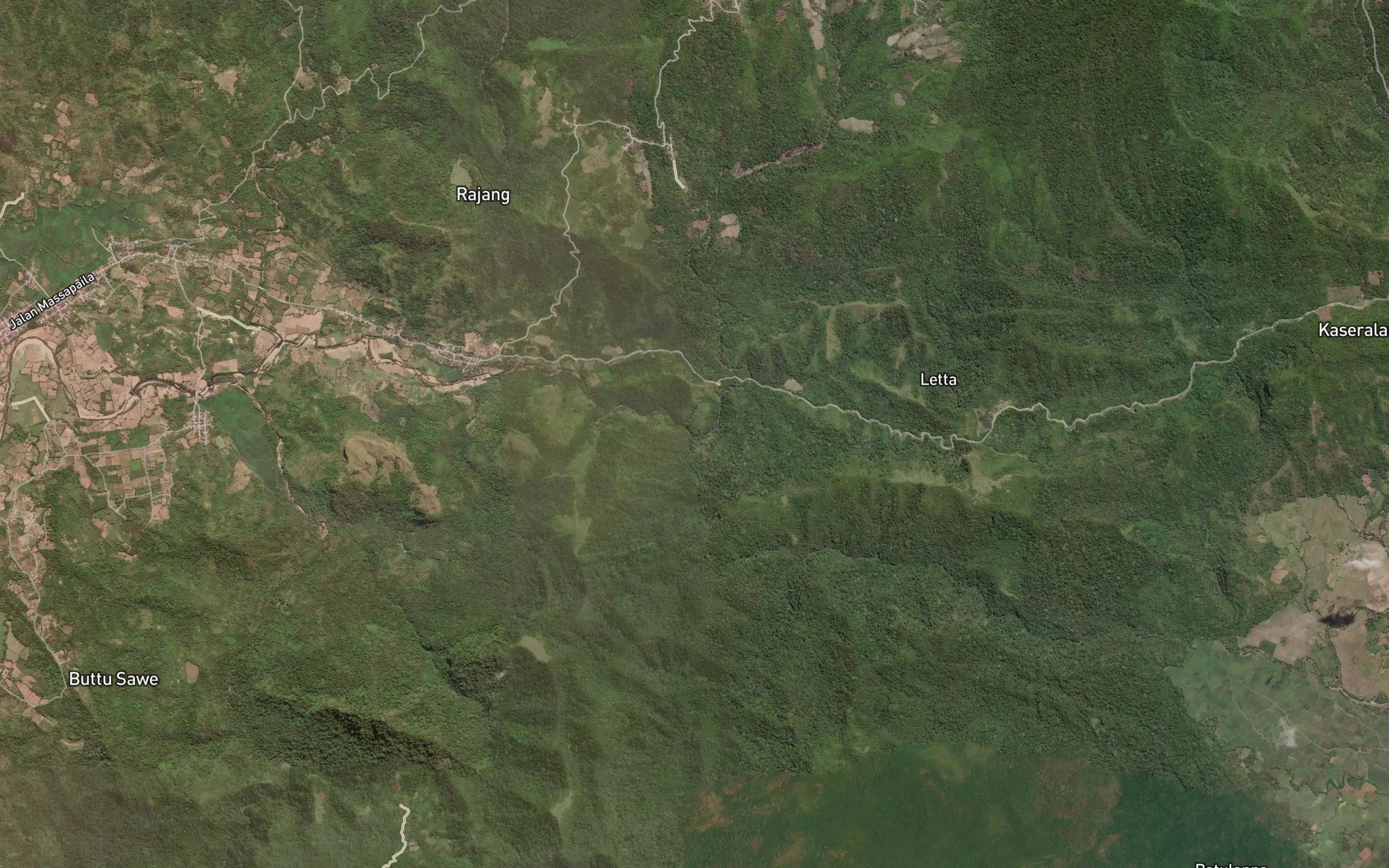 Salu Ara