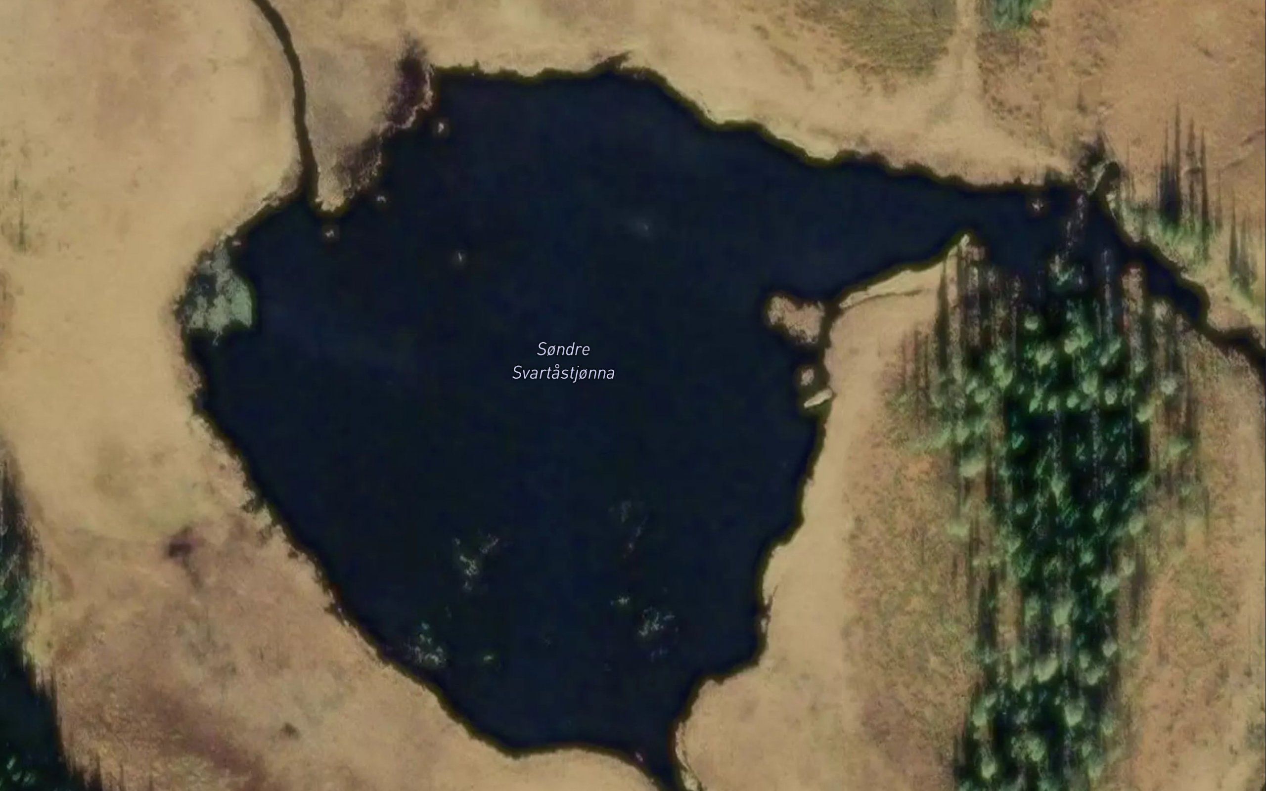 Svartastjorna,s
