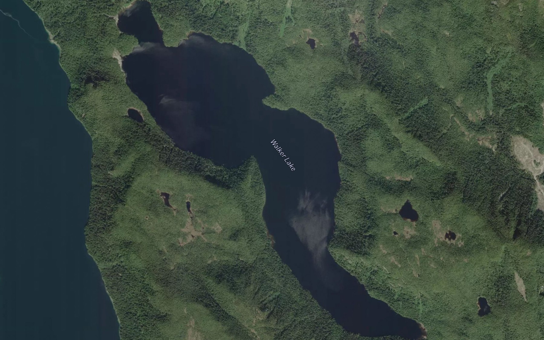 Satellite map of the Walker Lake