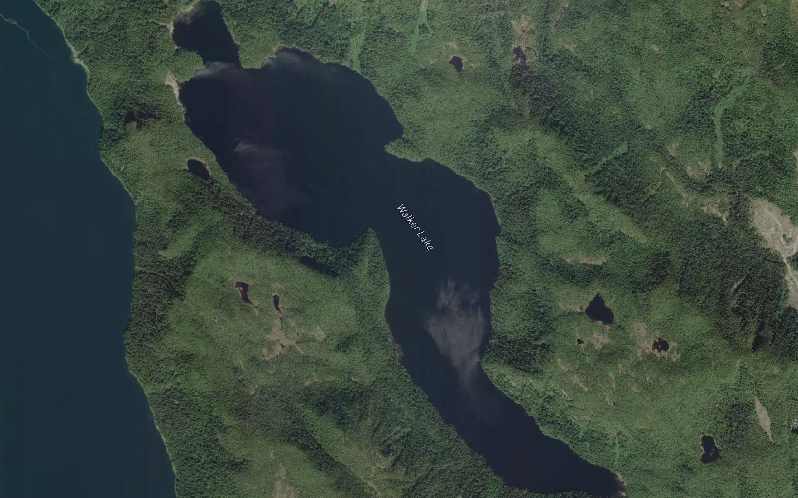Walker Lake