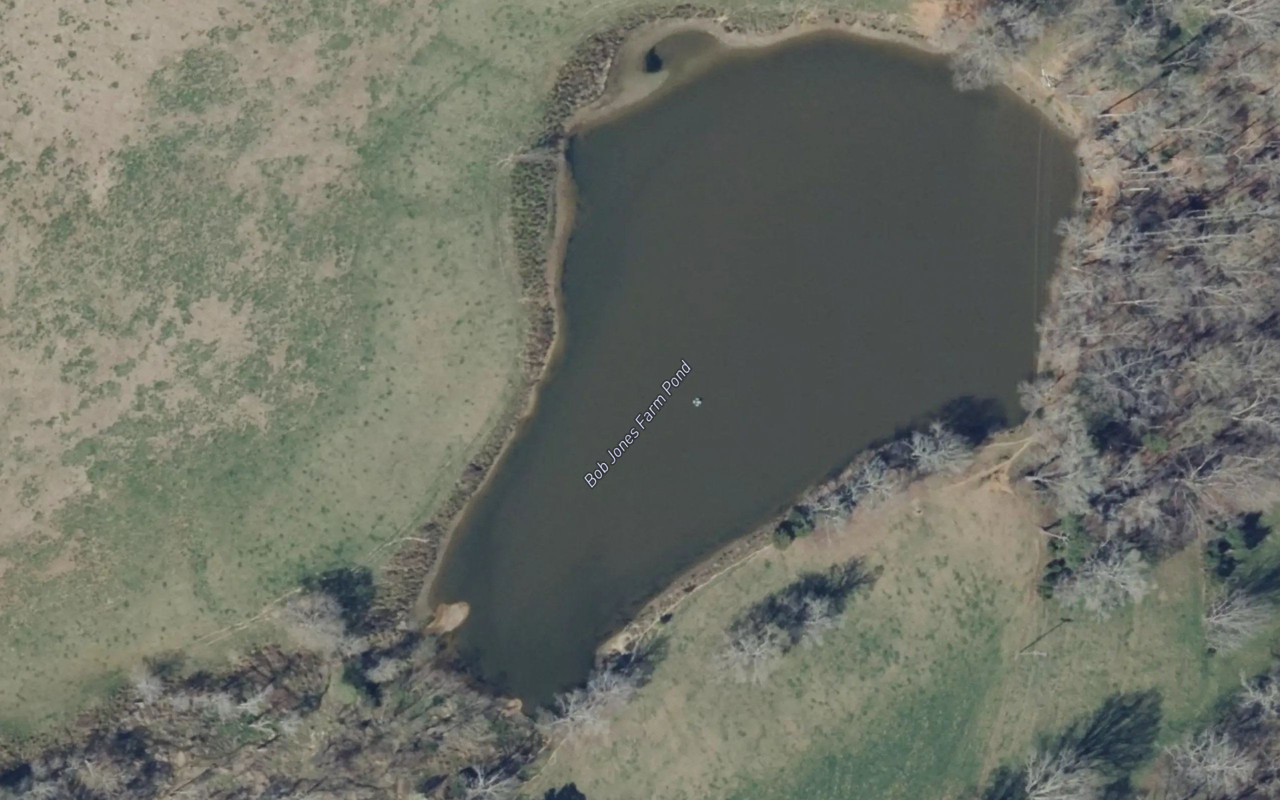 Bob Jones Farm Pond