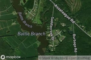Deals Branch