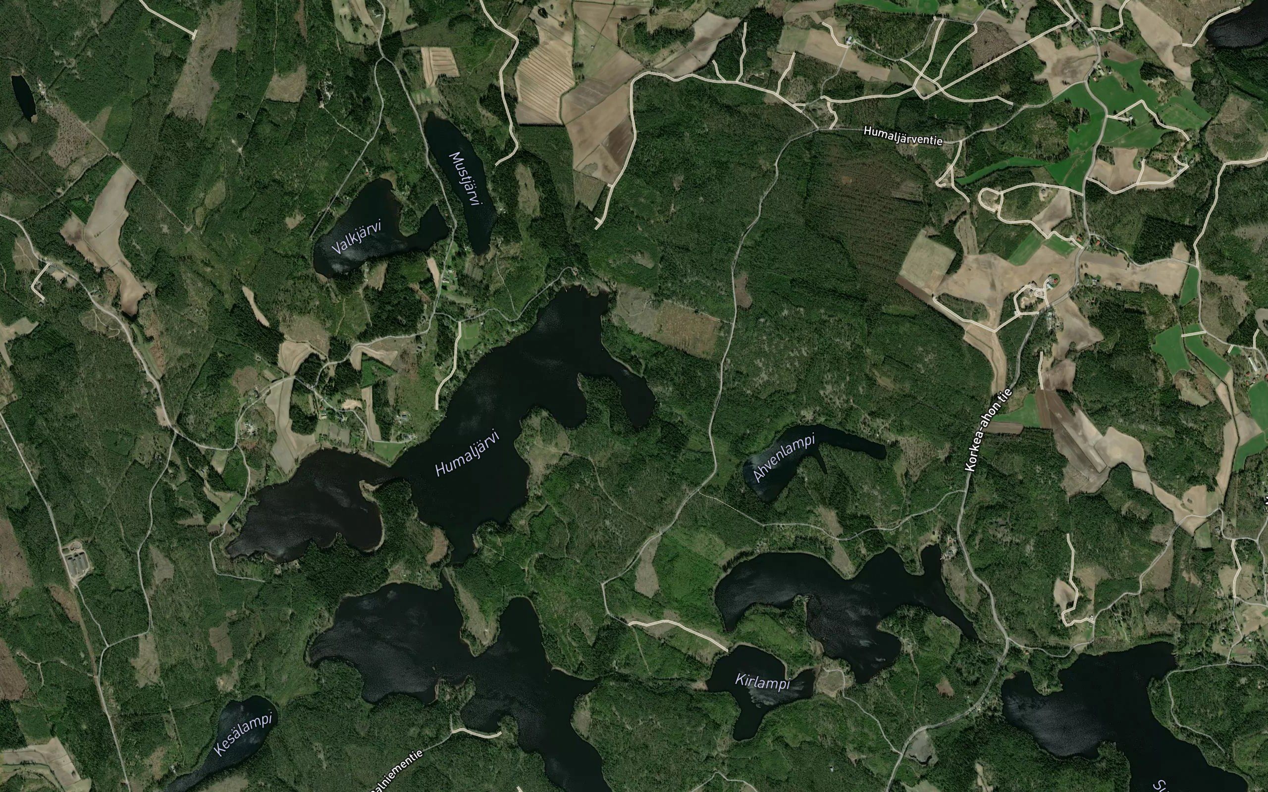 Haukkalahti