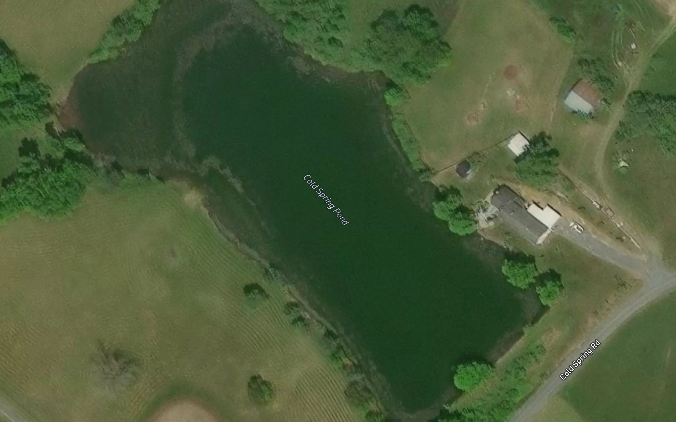 Cold Spring Pond
