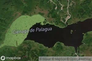 Cienaga de Palagua