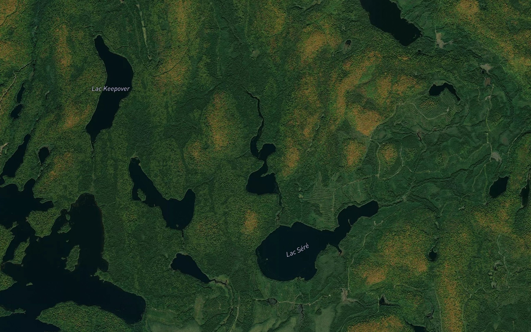 Satellite map of the Lac Raymond