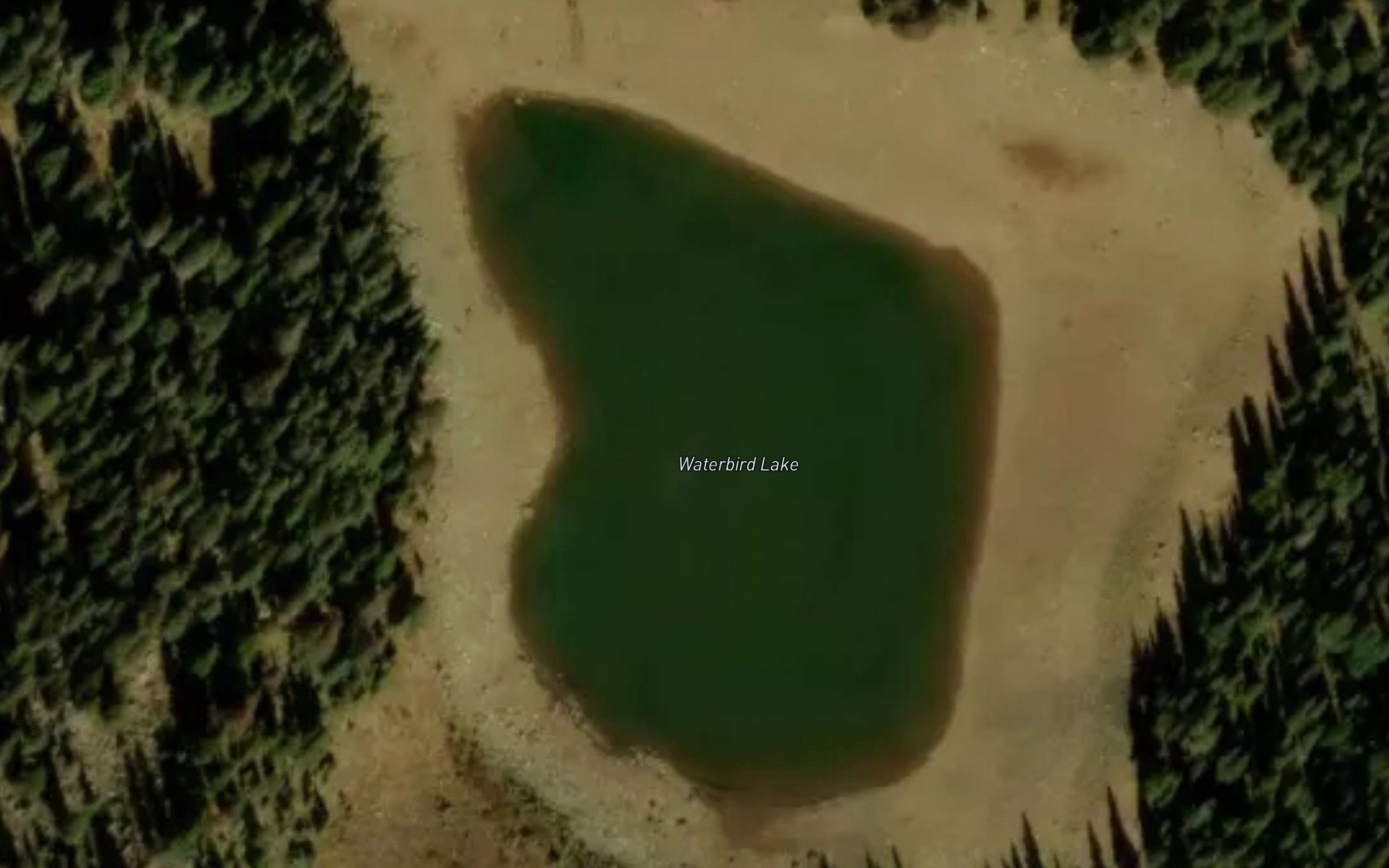 Waterbird Lake