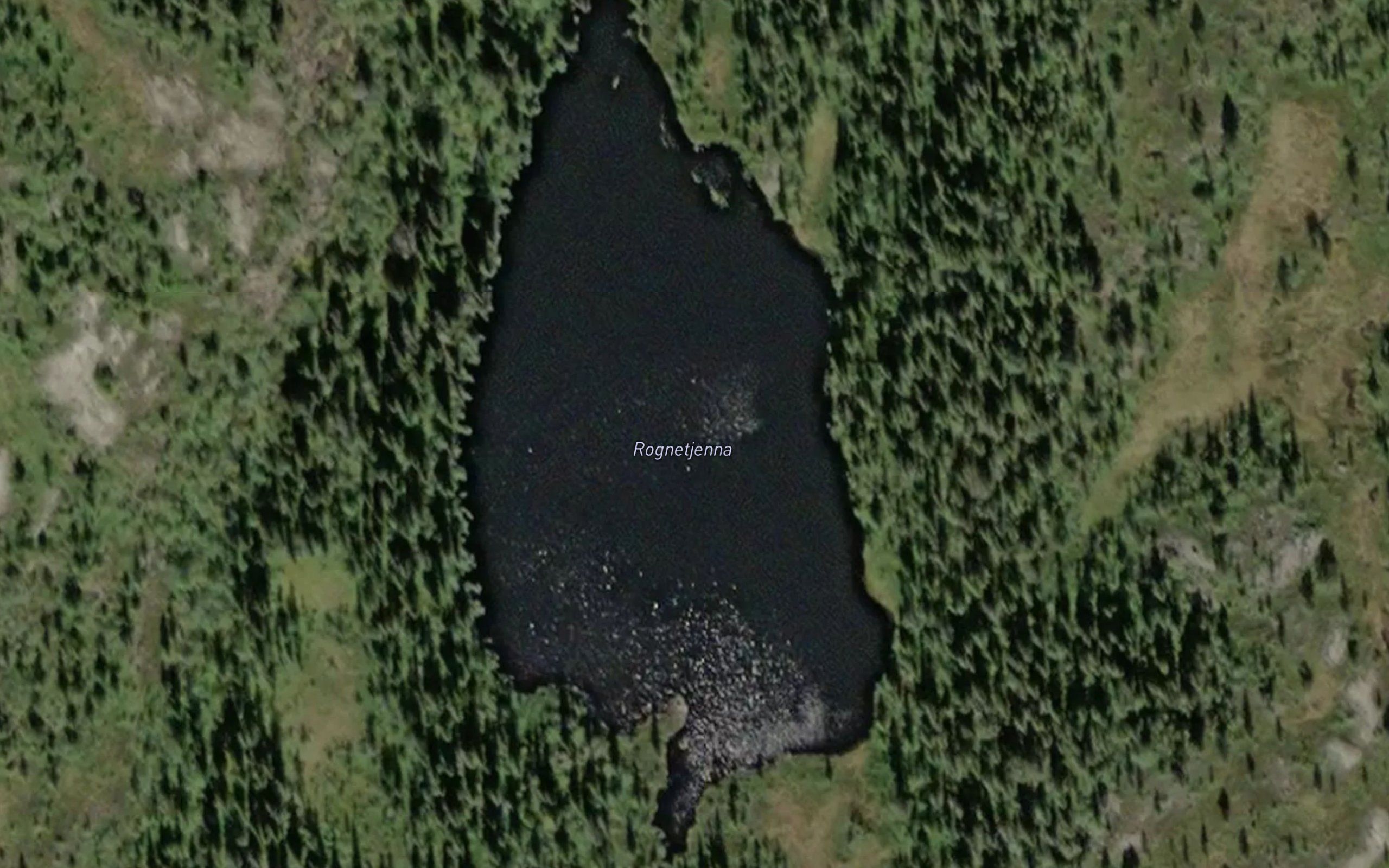Rognetjernet