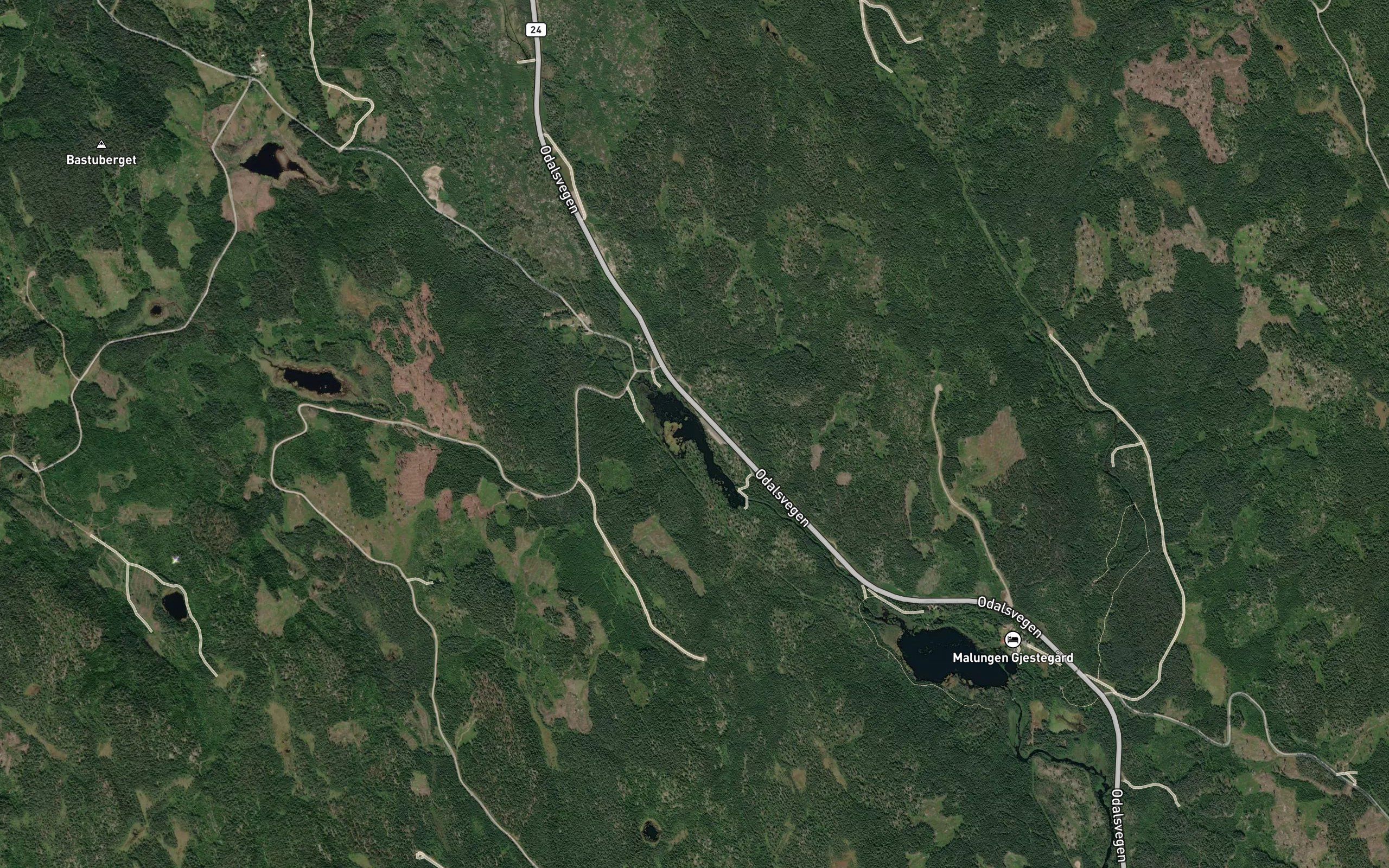 Botntjernet