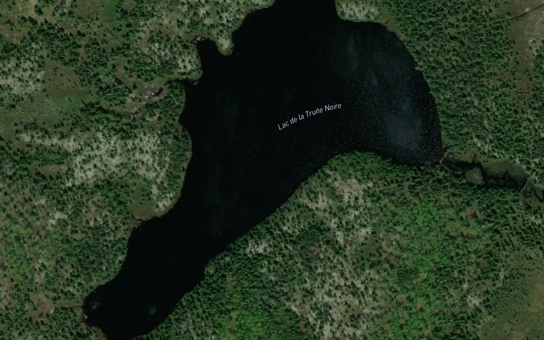 Satellite map of the Lac de la Truite Noire