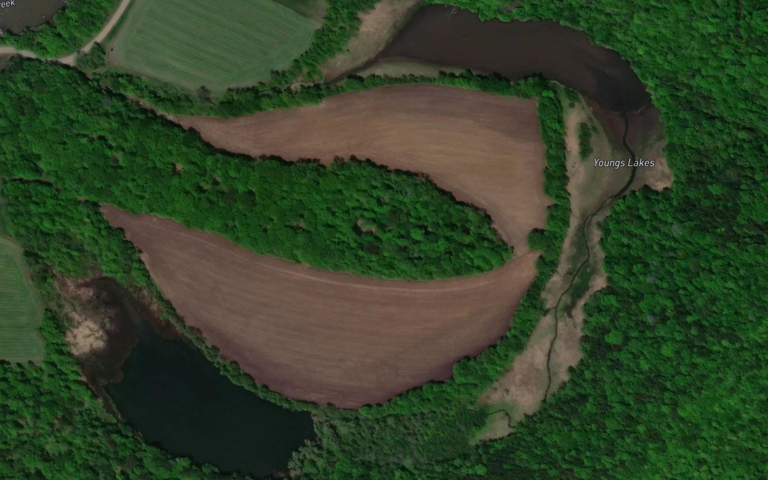 Youngs Lakes