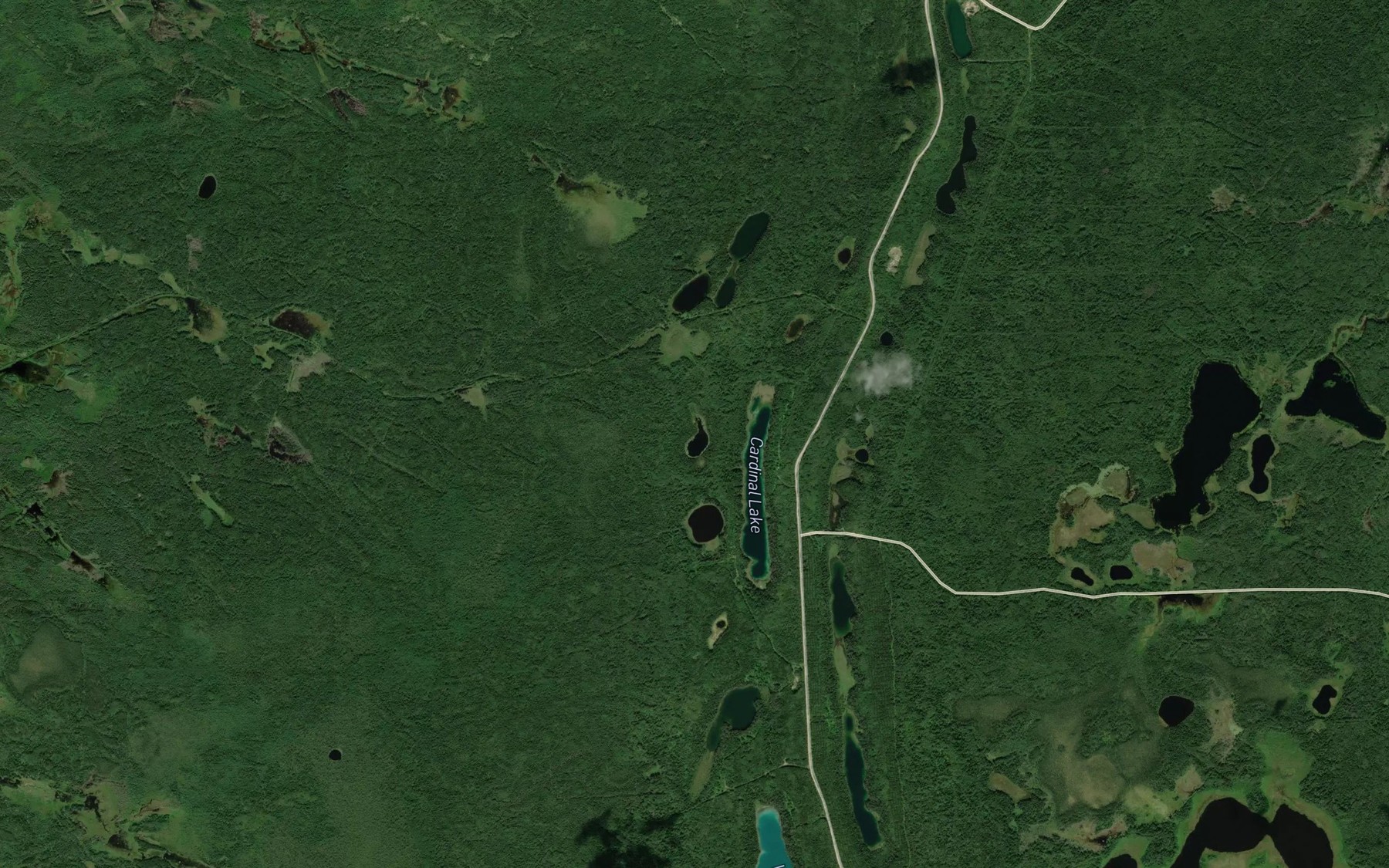 Satellite map of the Crane Lake