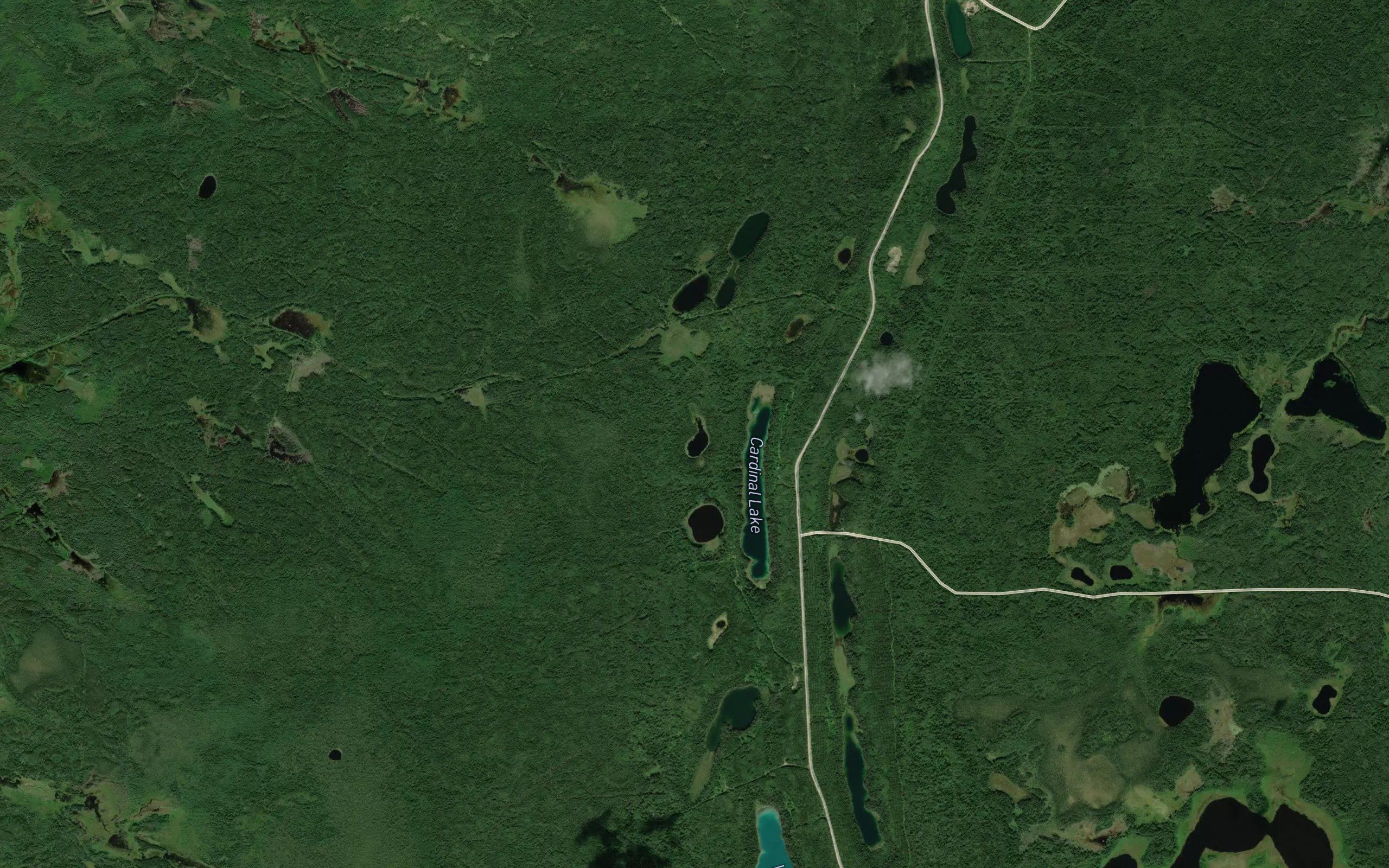 Crane Lake