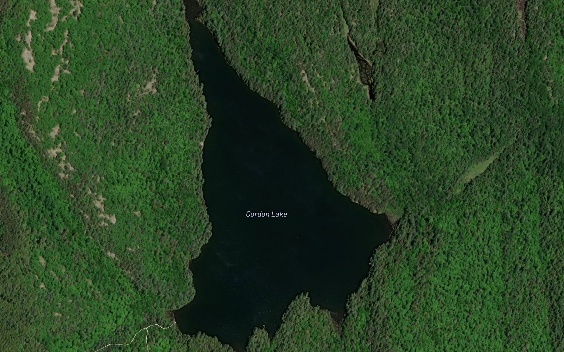 Satellite map of the Gordon Lake