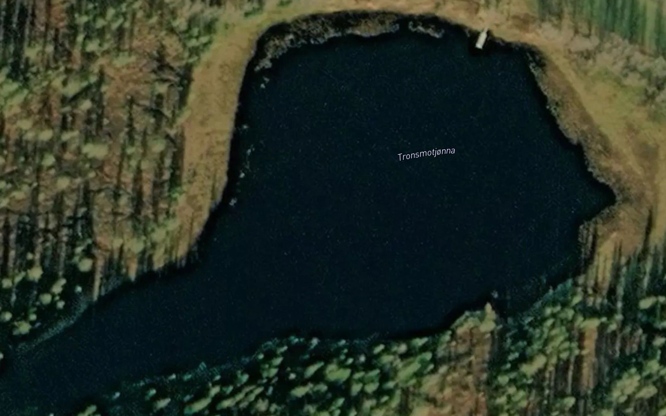 Tronsmotjonna