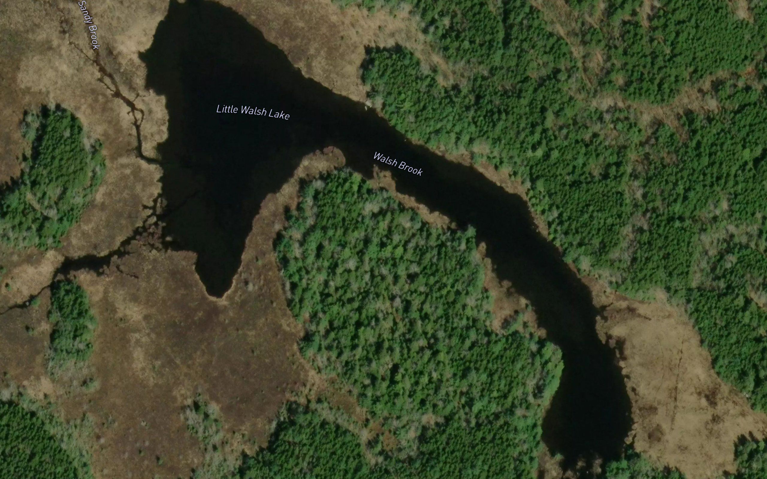Little Walsh Lake