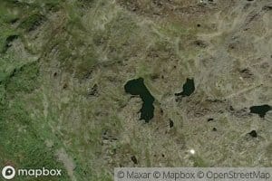 Kvitebekktjornane