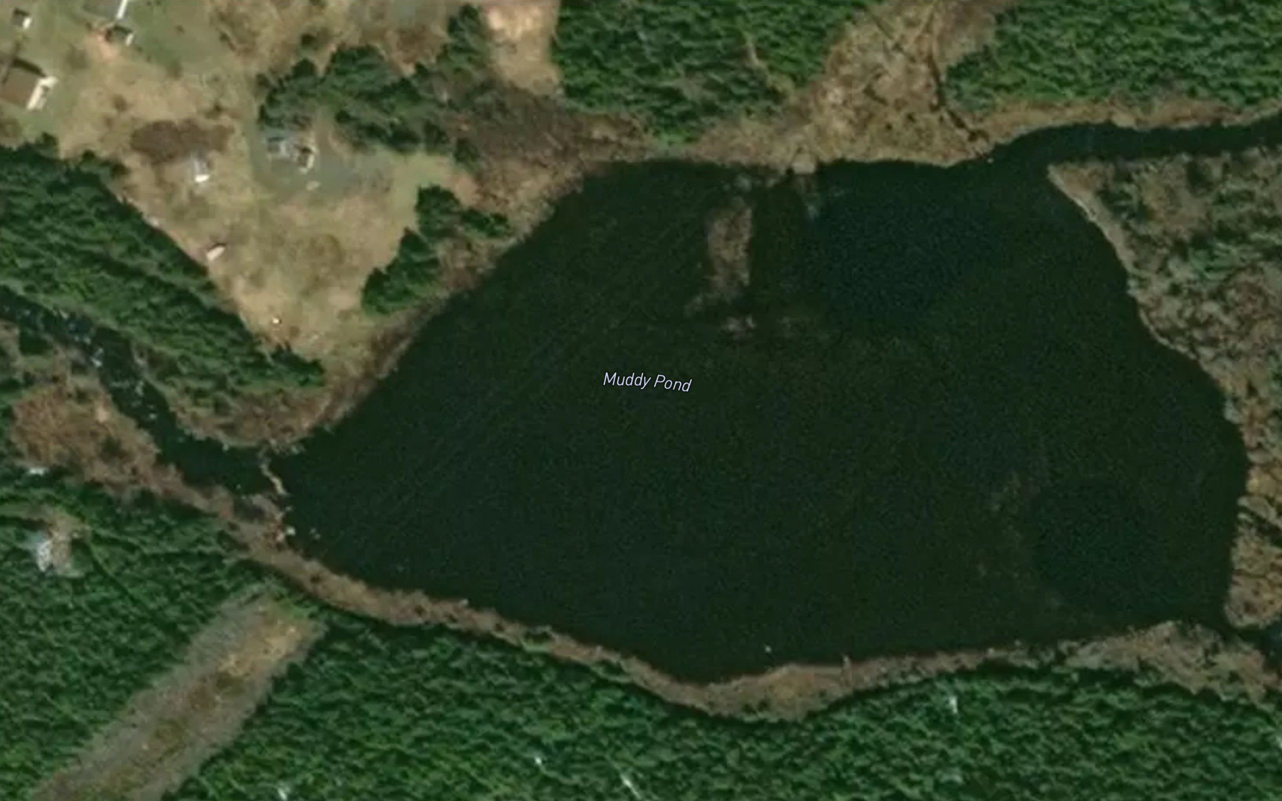 Muddy Pond