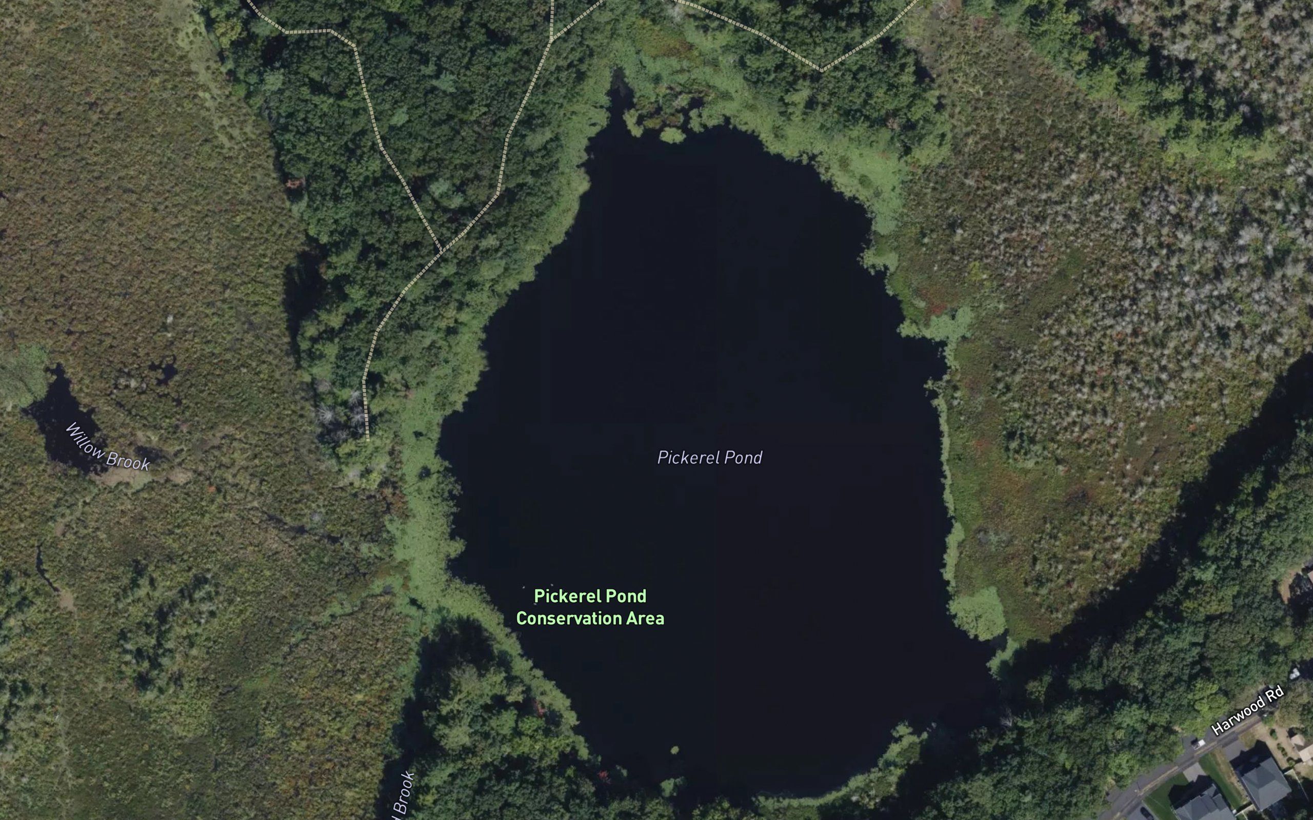 Pickerel Pond