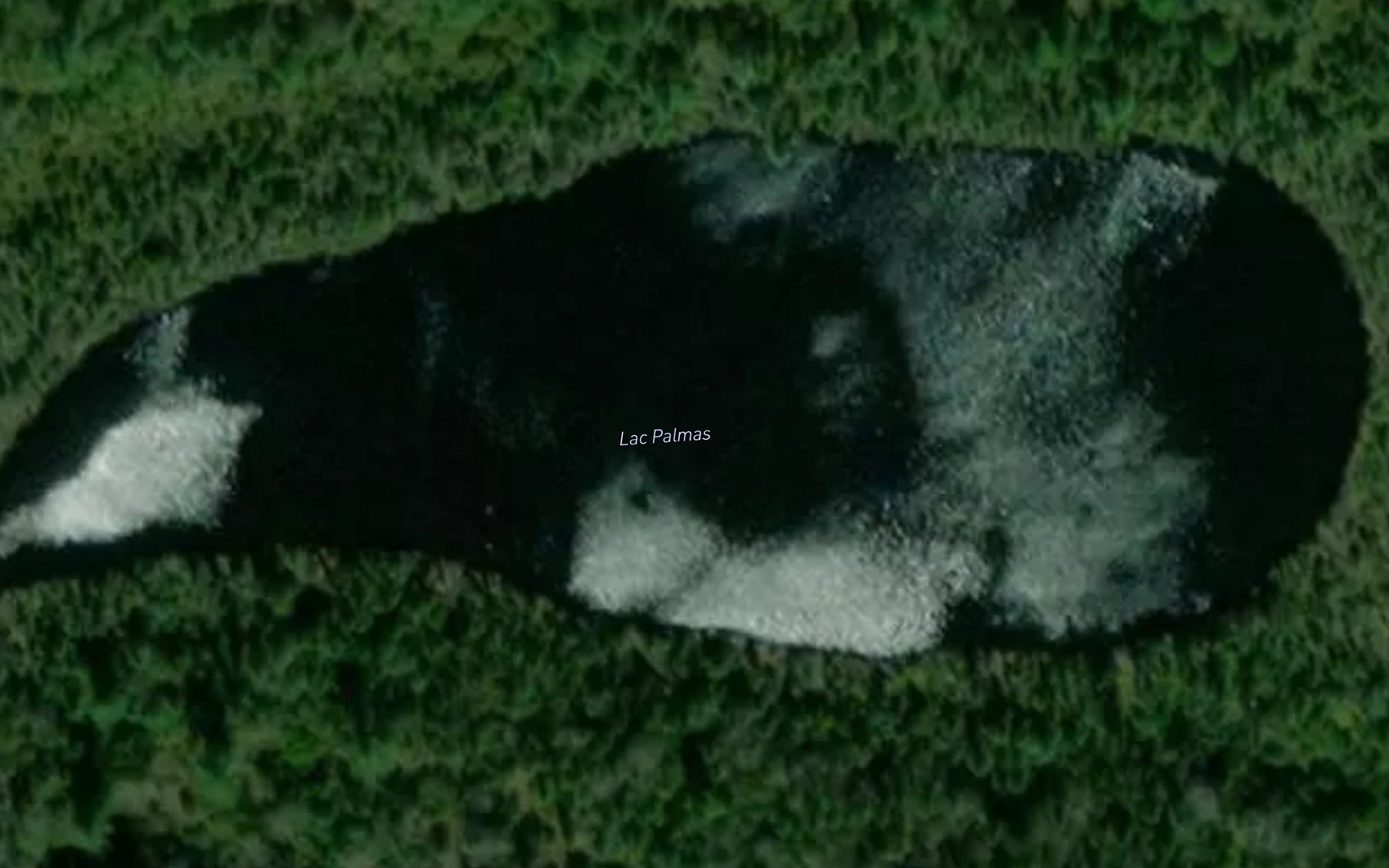 Satellite map of the Lac Palmas
