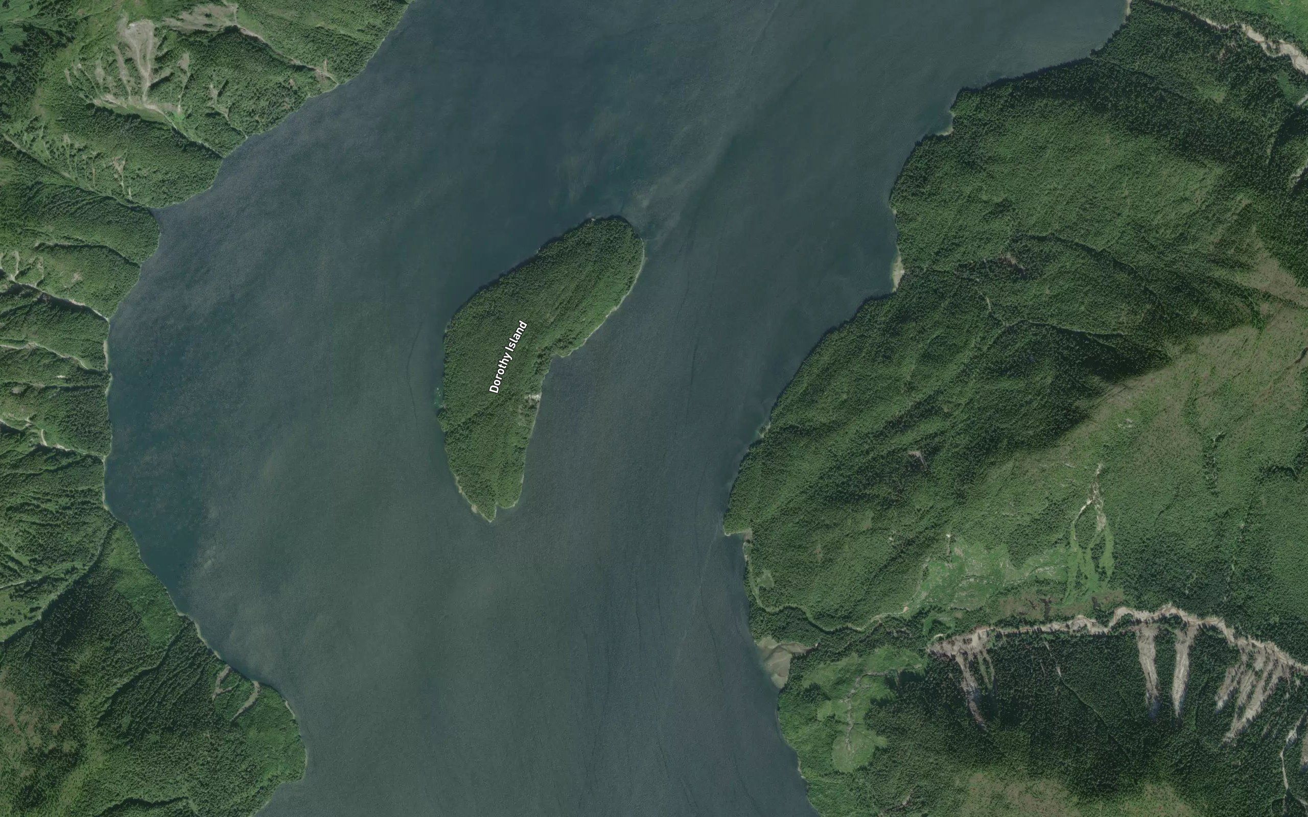 Dorothy Narrows