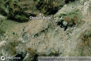 Chicken Spring