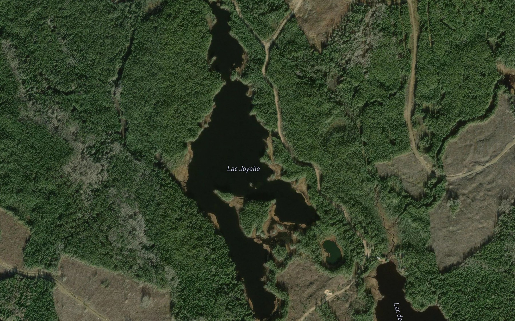 Satellite map of the Lac Joyelle