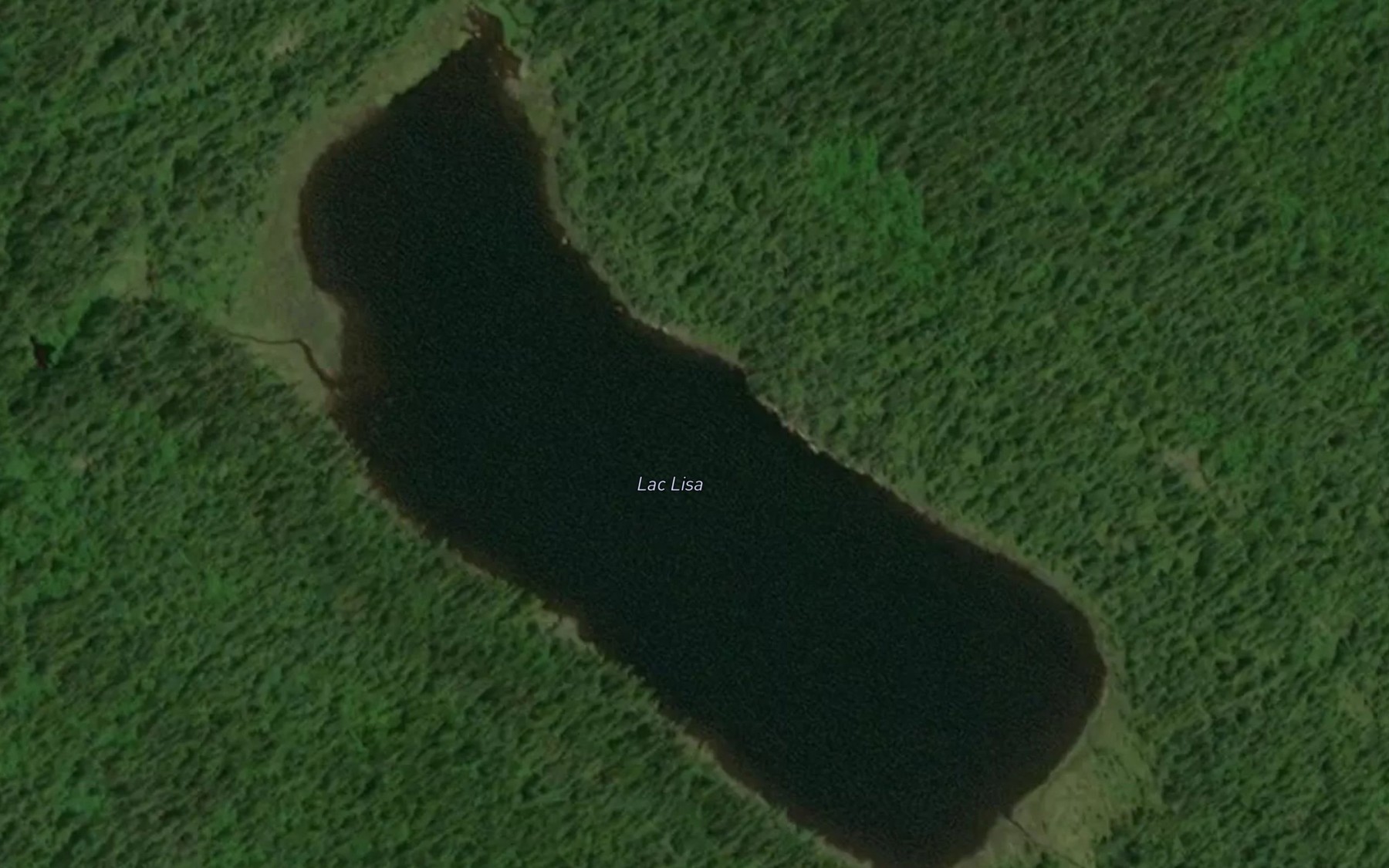 Satellite map of the Lac Lisa