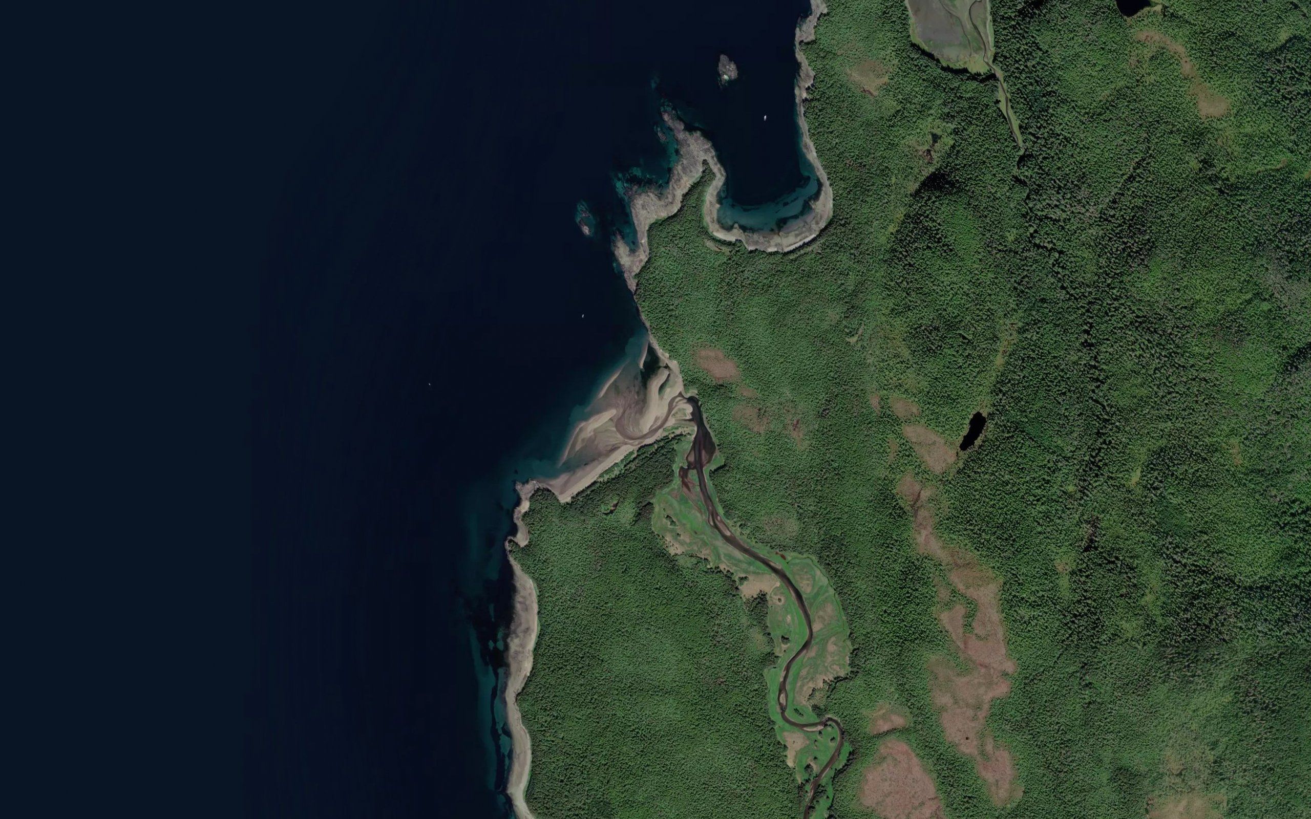 Game Cove