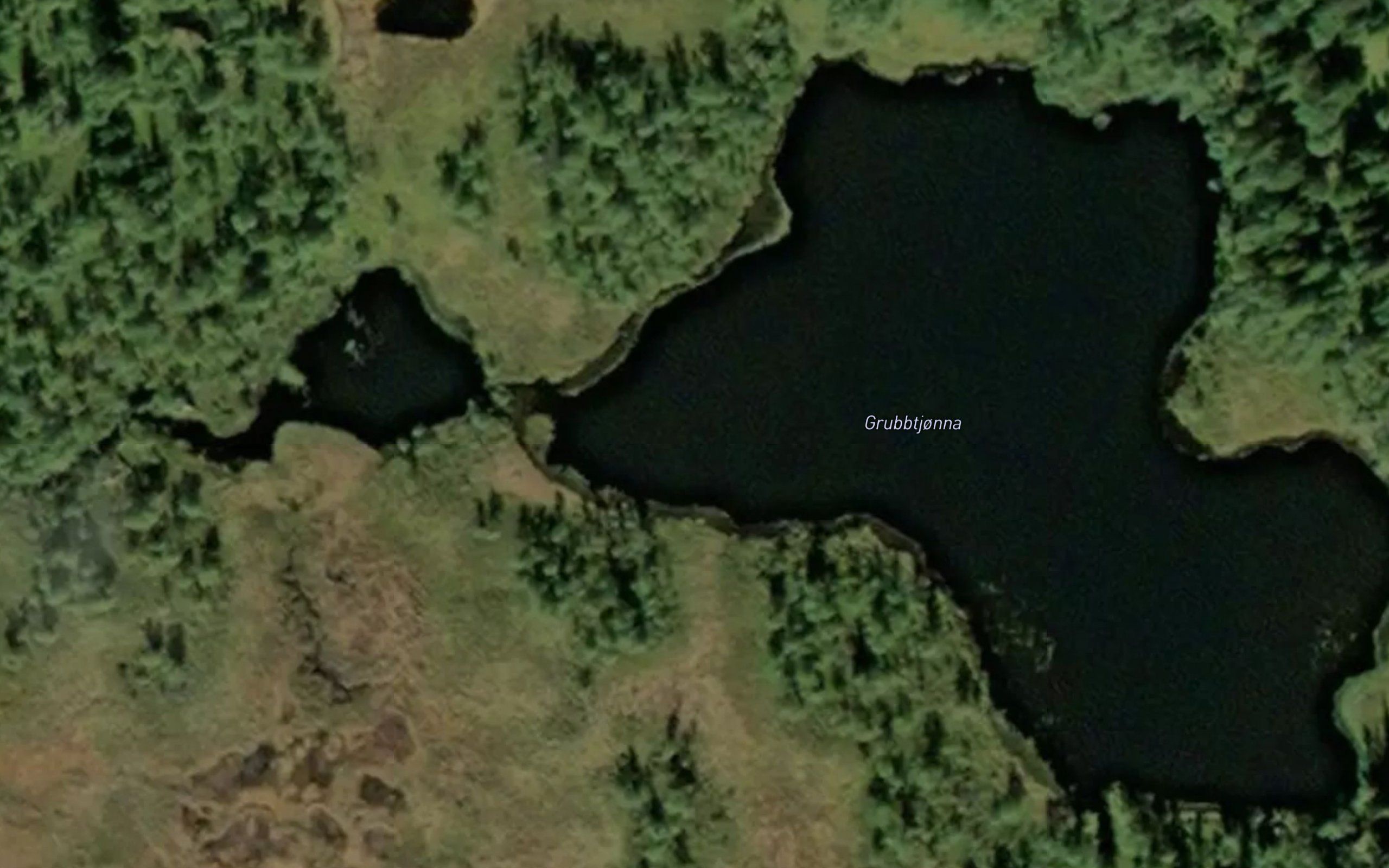 Grubbtjorna