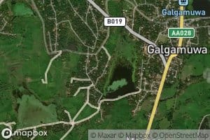 Aluthherathgama Wewa